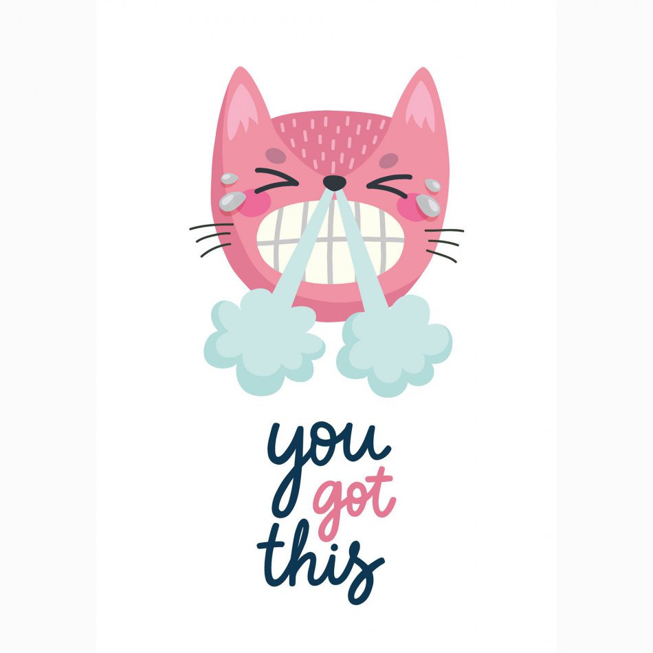 Beterschap You got this - sneezing cat